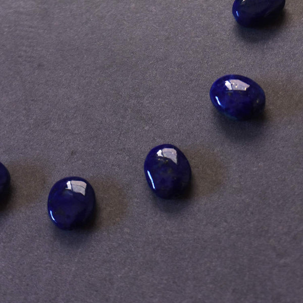 ラピスラズリ × ルビーのピアス　Lapislazuli Feather Earrings